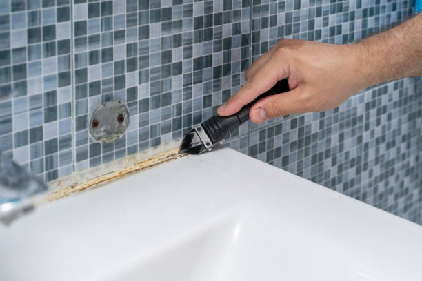 Best Mold Removal Near Me  in Happy Valley, CA