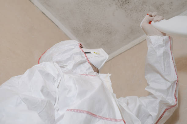Best Mold Testing  in Happy Valley, CA