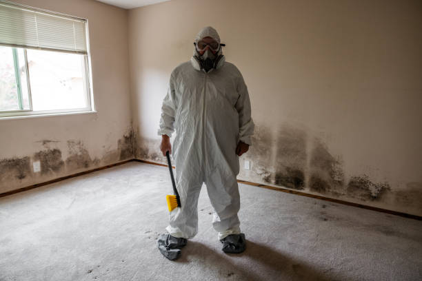 Best Local Mold Removal Service  in Happy Valley, CA